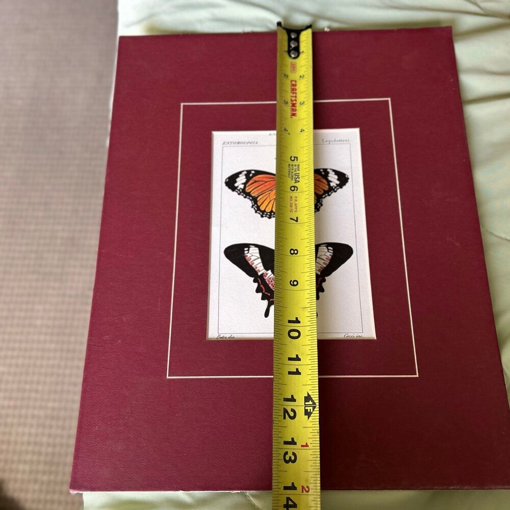 ❌SOLD - Picture 5 of 7
